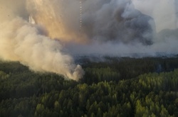 Пожежа в лісах Чорнобильської зони
