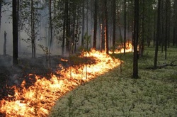 На Київщині через спеку сталося дві пожежі