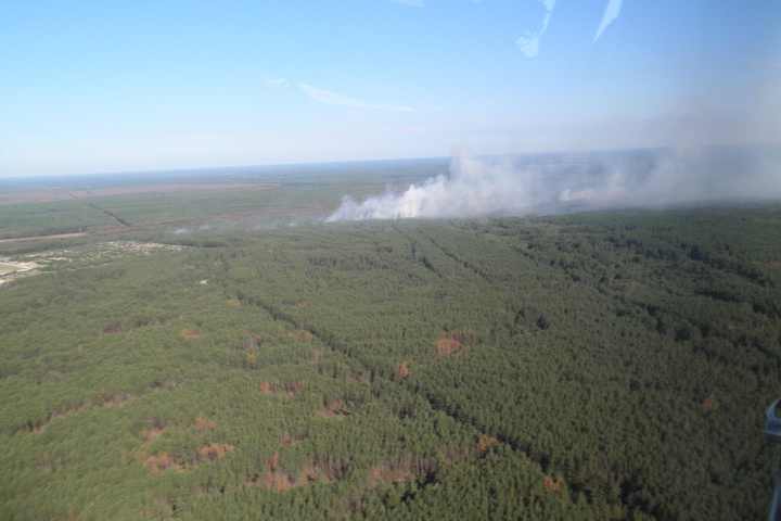 Ліквідація пожежі в Чорнобильській зоні: авіацією скинуто близько 152 т води (відео)