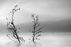 Чёрно-белые пейзажи, уходящие за пределы реальности в объективе Джорджа Дигалакиса