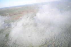 Пожежа у зоні відчуження: рятувальники гасять тліючі осередки