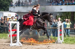 Київський іподром запрошує всіх бажаючих на перегони