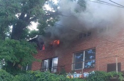 На момент прибуття рятувальників площа пожежі становила близько 300 кв.м.