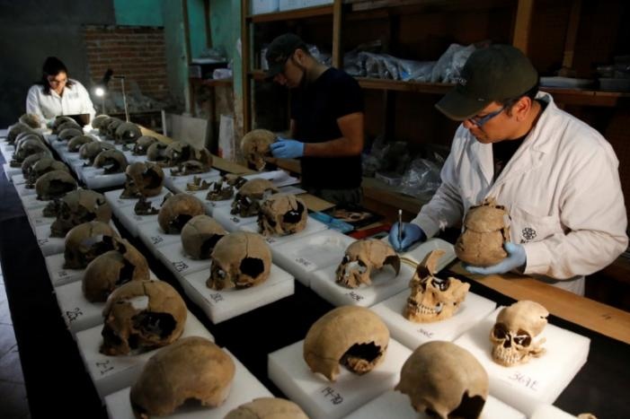 В мексиканському храмі ацтеків археологи виявили вежу з 650 черепів