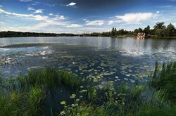 Сьогодні в Україні буде хмарно та дощитиме 