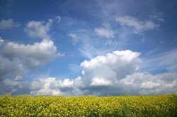 В Україні 4 липня мінлива хмарність