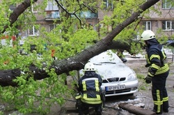 Киян попереджають про падіння дерев