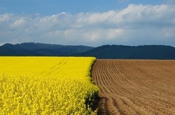 Земельна реформа в Україні