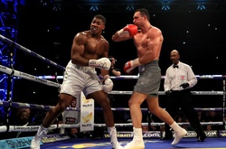 Менеджер Джошуа: З приводу реваншу з Кличком все вирішиться в найближчі два тижні 