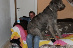 Чем больше собака, тем больше любовь!