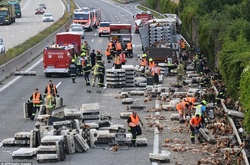 В Австрії 7 тисяч курей випали з вантажівки і заблокували автобан