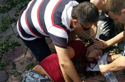 У центрі Києва впало дерево: одна людина в реанімації