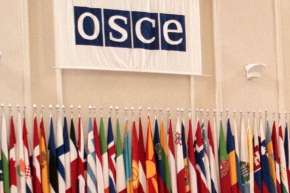 Парламентська асамблея ОБСЄ може визнати Росію окупантом