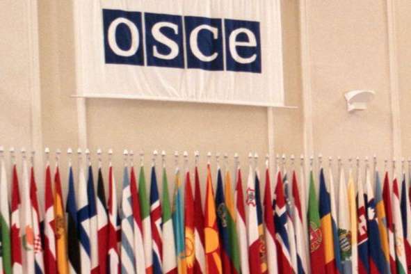 ПА ОБСЄ ухвалила резолюцію про відновлення суверенітету України