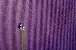 12 невероятных фотографий сделанных дронами