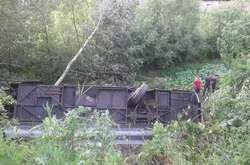 Автобус із туристами перекинувся біля Чорткова