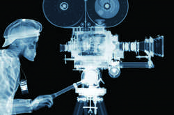 Красота в глубине: рентгеновские фотографии Ника Визи