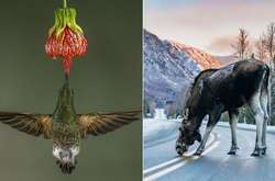 Travel Photographer of the Year 2017: опубликованы лучшие фотографии участников