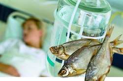 На Кіровоградщині від ботулізму померла жінка