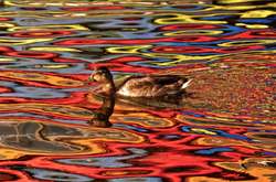 15 умопомрачительных фотографий, сделанных без фотошопа