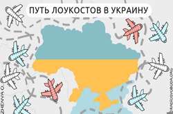 Как директор аэропорта «Борисполь» взял в заложники Украину