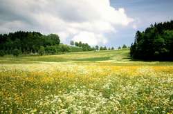 У суботу в Україну повернеться тепло