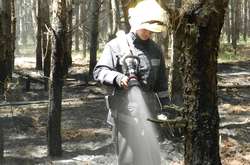 На Херсонщині – пожежа у лісництві