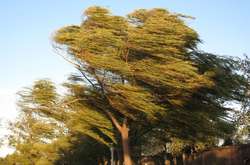 Швидкість вітру досягатиме&nbsp;15-20 м/с