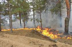 На Херсонщині ліквідували лісову пожежу