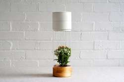 Жесткая мотивация: японский дизайнер создал «живой» фитнес-трекер