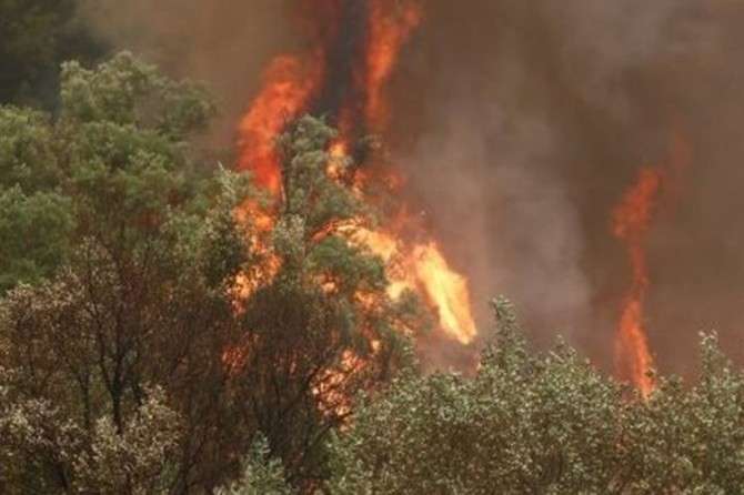 На курортах Хорватії та Чорногорії вирують лісові пожежі