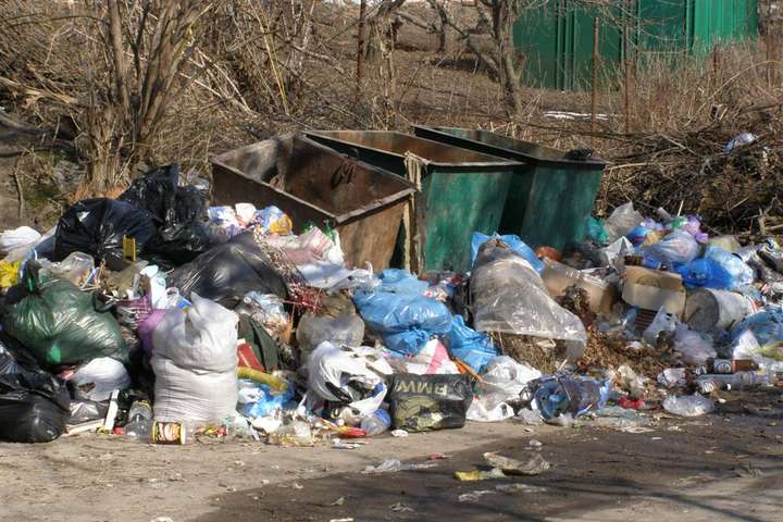 В БПП хочуть штрафувати українців, які смітять
