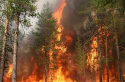 Україна направить у Чорногорію пожежний літак