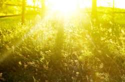 Синоптики рассказали, будет ли август знойным