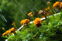 Прогноз погоди на четвер: дощі і спека