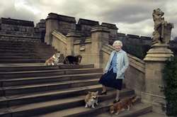 Специальное меню и серебряная миска: у Елизаветы II появилась новая корги