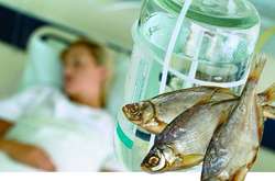 Від ботулізму в Україні з початку року померли дев’ять людей