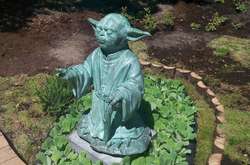 У Києві з’явилась алея зі статуєю Йоди із Зоряних війн. Фото