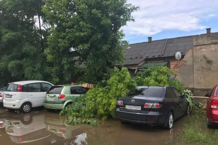 Негода на Закарпатті: Москаль просить жителів регіону не виходити цієї ночі з дому