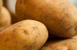 Украинцев предупредили о дефиците картошки