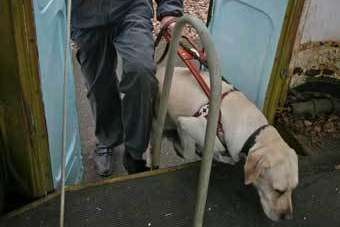 Соцсеть взволновала новость об отравлении собаки-поводыря в Киеве