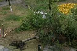 Ураган обесточил Борисполь, повалены деревья