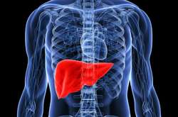 Захворюваність на гепатит