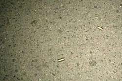 Гільзи патронів на місці стрілянини