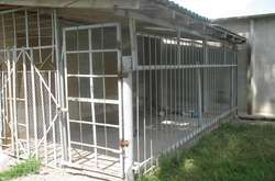 Психбольных из интерната на Черкасщине запирали в клетку 