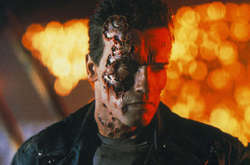 Терминатор и губернатор: Арнольду Шварценеггеру - 70