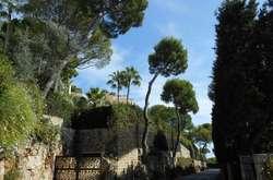 Рабінович звернувся до НАБУ з приводу французької дачі Льовочкіна за 40 млн євро