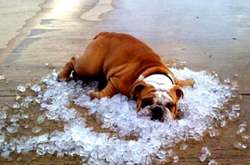 Перший день серпня в Україні буде спекотним