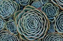 19 уникальных творений природы, которые завораживают своей идеальностью 