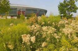 Четвертий рік окупації: як нині виглядає Донецьк (фото)